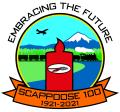 100-Year Celebration Logo