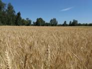 Figure 1 Biosolids are land applied to certified land for beneficial use.