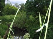 South Scappoose Creek