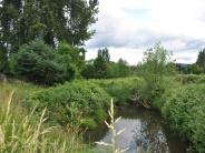 South Scappoose Creek