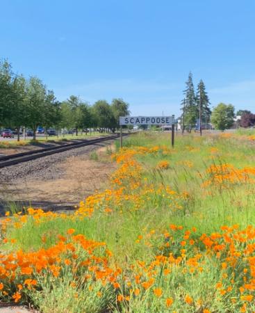 Scappoose sign with poppies