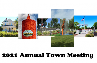 2021 Annual Town Meeting graphic